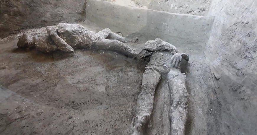 DNA reveals surprises about Pompeii eruption victims